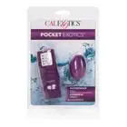 12684_PURPLE_02