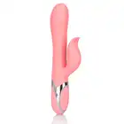 12473_PINK_01