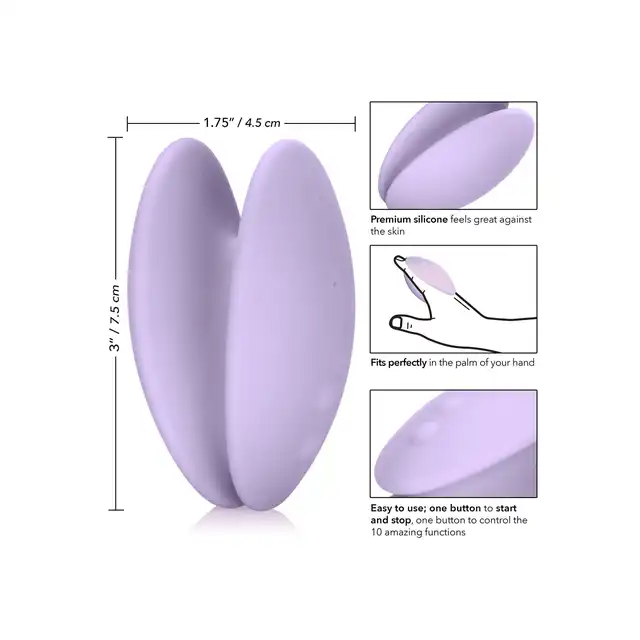 15349_purple_04