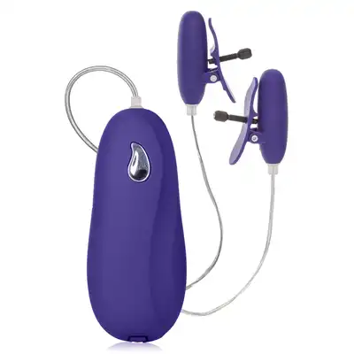 12932_PURPLE_01