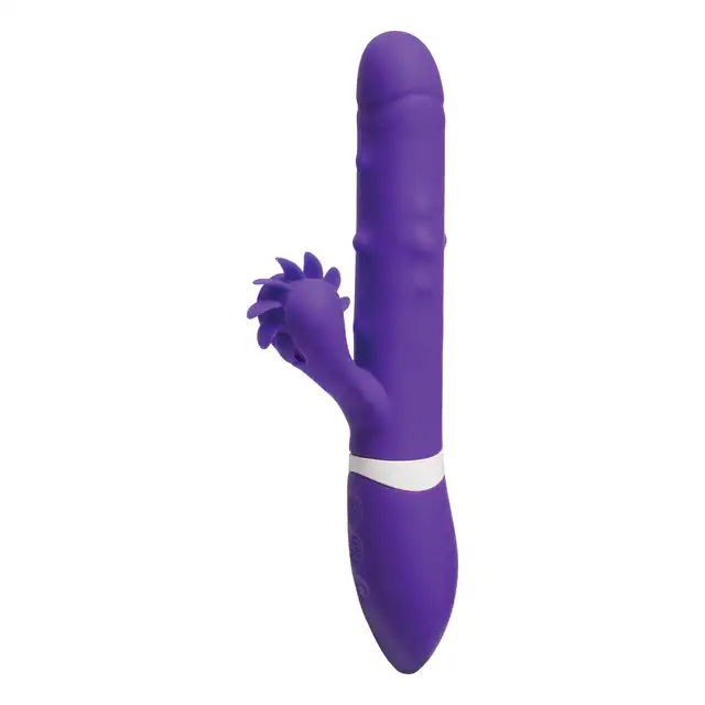 16120_PURPLE_01