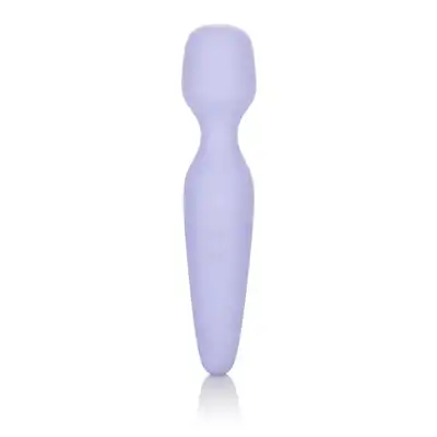 13659_PURPLE_01