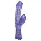 12012_PURPLE_01