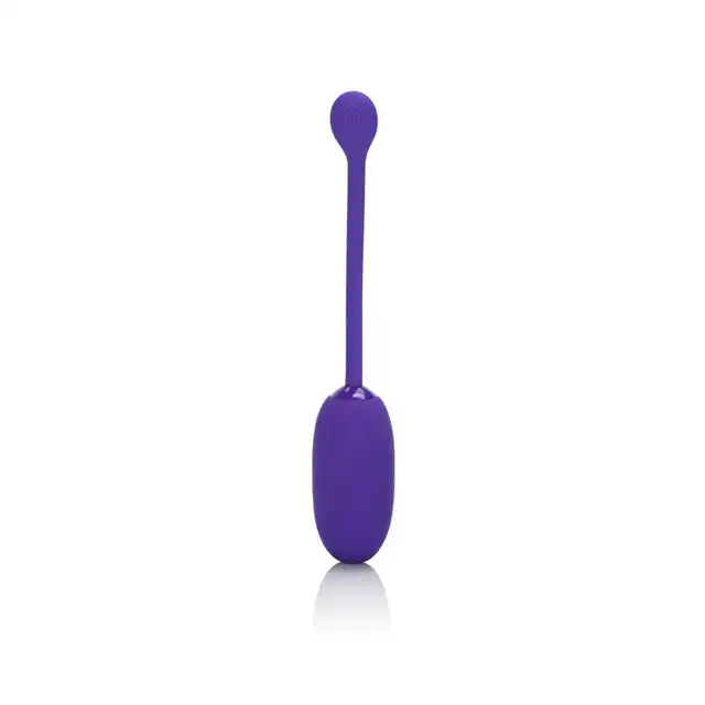 13471_PURPLE_01