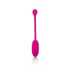 13472_PINK_01
