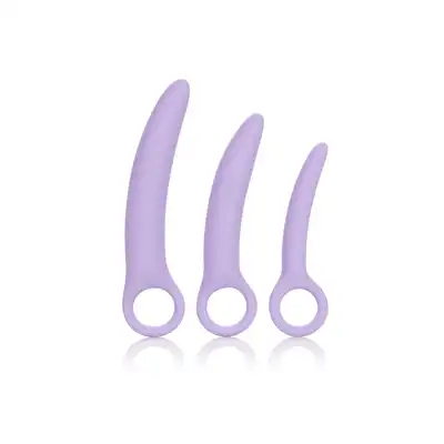 13547_PURPLE_01