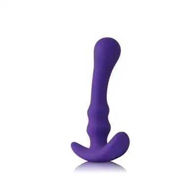 18291_PURPLE_01