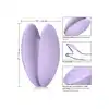 15349_purple_04