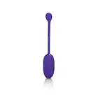 13471_PURPLE_01