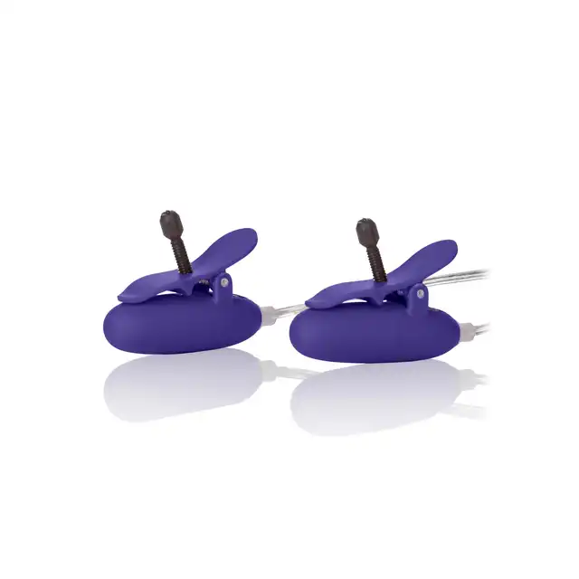 12932_PURPLE_03