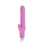 13644_PURPLE_01