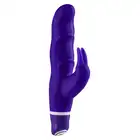 55130_PURPLE_01
