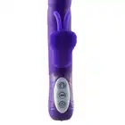 55135_PURPLE_03