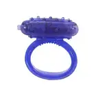 55113_PURPLE_01