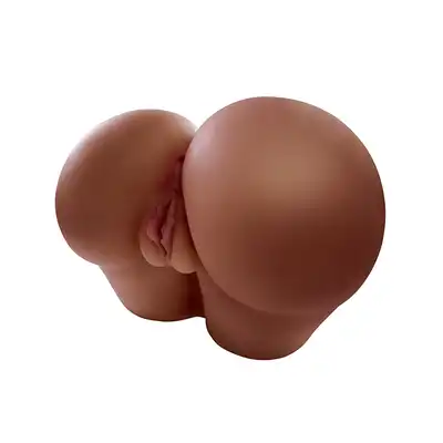 45441_1