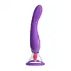 22317_PURPLE_05
