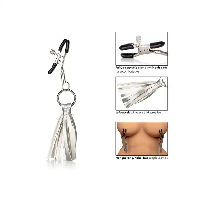 12956_SILVER_04