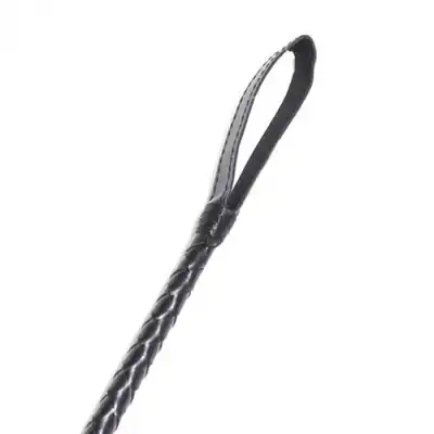 Toyz 4 Lovers - Ribbon Horse Whip. 60 cm! 