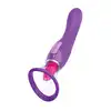 22317_PURPLE_01