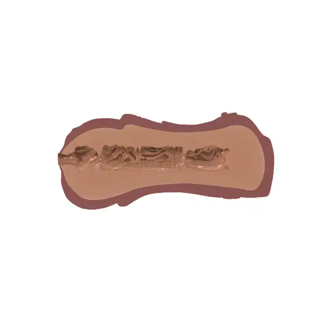 17032_BROWN_04