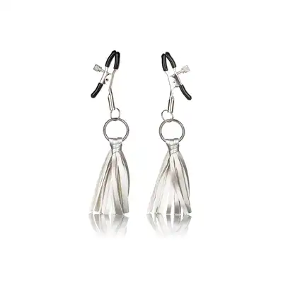 12956_SILVER_01