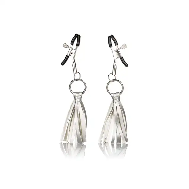 12956_SILVER_01