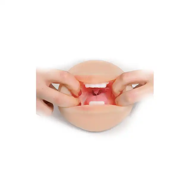 45670_2