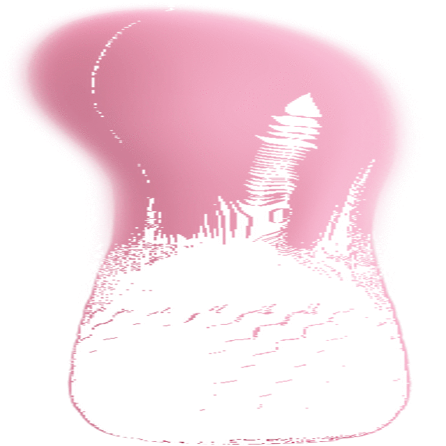BI-014561_05.gif