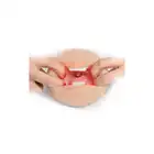 45670_2