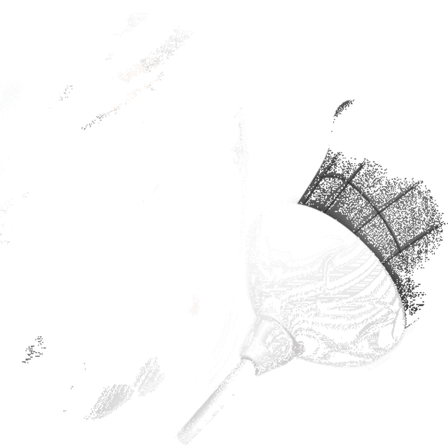 BI-014091-8_06.gif