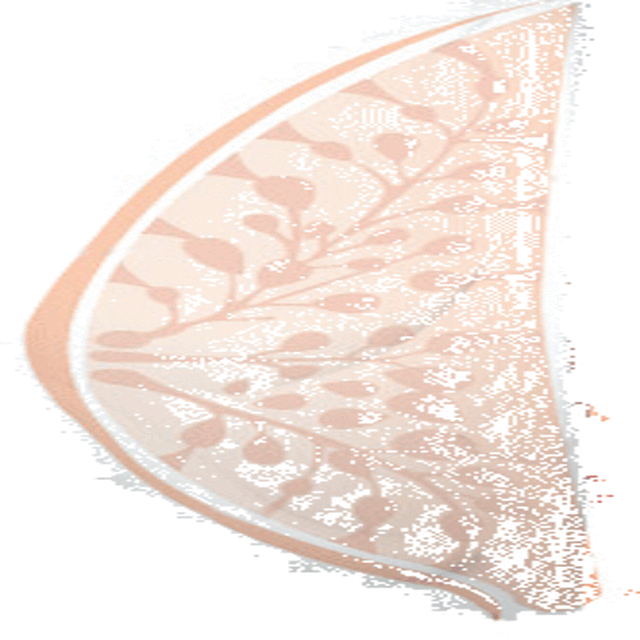 BI-014091-8_07.gif