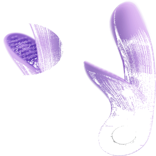 BI-014571-2_06.gif