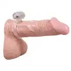 42-564346_2