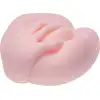 20-BR21-FLESH_2
