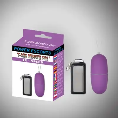 T rex remote egg purple remote control egg 12 speed