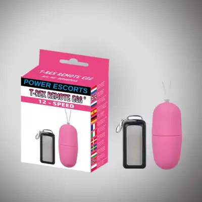 T rex remote egg pink remote control egg 12 speed