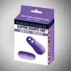 20-BR41-PURPLE.jpeg
