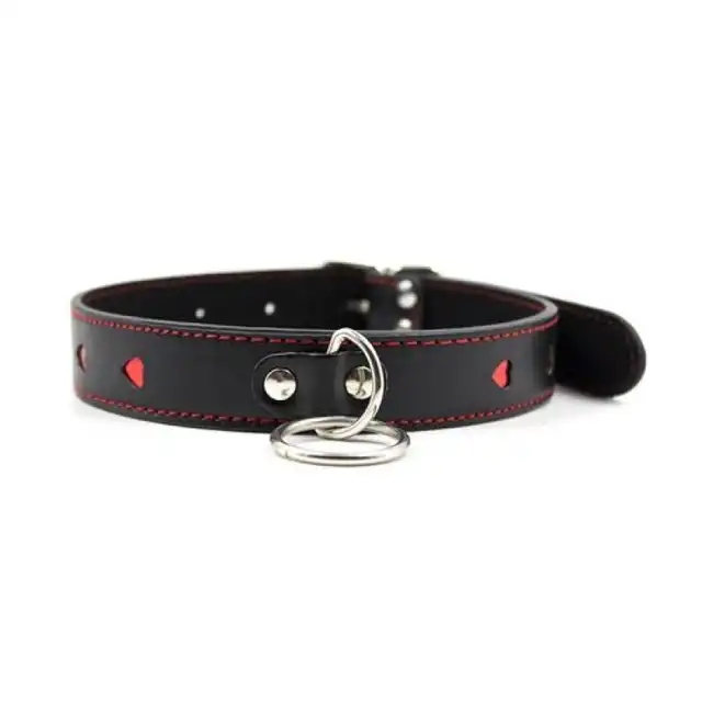 Easy Collar Leash Black - Czarna obroża i smycz. Elegancki zestaw. 