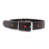 Easy Collar Leash Black - Czarna obroża i smycz. Elegancki zestaw. 