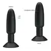 BI-040073W_2