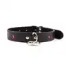 Easy Collar Leash Black - Czarna obroża i smycz. Elegancki zestaw. 