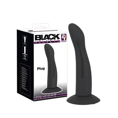 Plug-BV Plug
