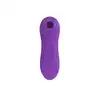 20-BR160PURPLE_3