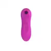 20-BR160PINK_4