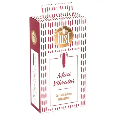 Mini Vibrator