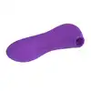 20-BR160PURPLE_4
