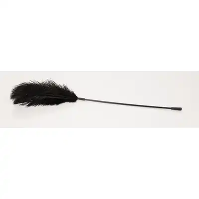 Feather