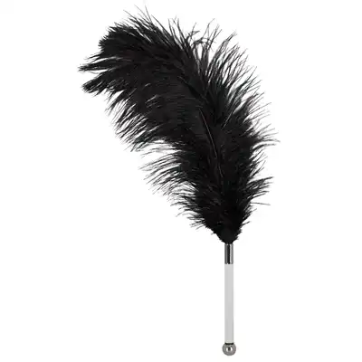 Feather Wand