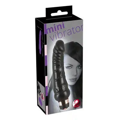 Mini Vibrator
