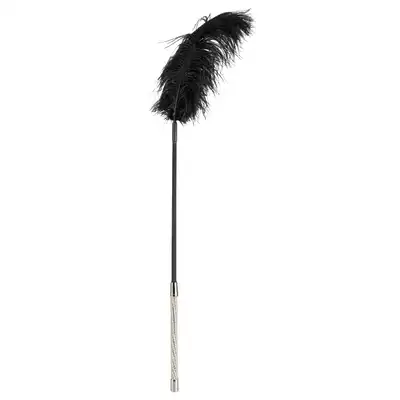 Feather Wand with Rhinestones